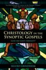 Christology in the Synoptic Gospels : God or God's Servant - eBook
