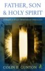 Father, Son and Holy Spirit : Toward a Fully Trinitarian Theology - eBook