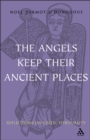 Angels Keep Their Ancient Places : Reflections on Celtic Spirituality - eBook