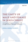 The Unity of Male and Female in Jesus Christ : An Exegetical Study of Galatians 3.28c in Light of Paul's Theology of Promise - eBook