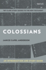 Colossians: An Introduction and Study Guide : Authorship, Rhetoric, and Code - eBook