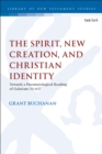 The Spirit, New Creation, and Christian Identity : Towards a Pneumatological Reading of Galatians 3:1 6:17 - eBook