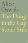 The Thing in the Gap Stone Stile - Book