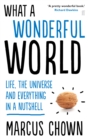 What a Wonderful World : Life, the Universe and Everything in a Nutshell - Book