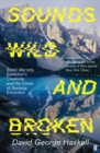 Sounds Wild and Broken - eBook