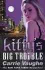 Kitty's Big Trouble - eBook