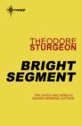 Bright Segment - eBook