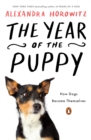 Year of the Puppy - eBook