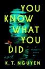 You Know What You Did : A Novel - Book