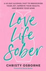 Love Life Sober - eBook