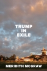 Trump in Exile - eBook