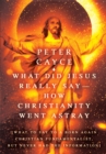 What Did Jesus Really Say-How Christianity Went Astray : [What to Say to a Born Again Christian Fundamentalist, but Never Had the Information] - eBook