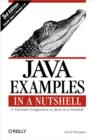 Java Examples in a Nutshell : A Tutorial Companion to Java in a Nutshell - eBook