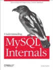 Understanding MySQL Internals : Discovering and Improving a Great Database - eBook