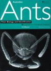 Australian Ants : Their Biology and Identification - eBook
