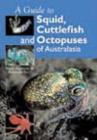 Guide to Squid, Cuttlefish and Octopuses of Australasia - eBook