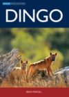 Dingo - eBook