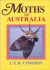 Moths of Australia - eBook