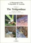 Tettigoniidae of Australia Volume 1 : The Tettigoniinae - eBook