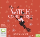 A Witch Come True - Book