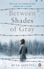 Between Shades Of Gray - Book