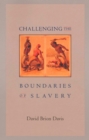 Challenging the Boundaries of Slavery - eBook