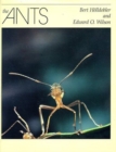 The Ants - Book