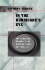 In the Hurricane’s Eye : The Troubled Prospects of Multinational Enterprises - eBook