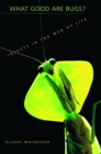 What Good Are Bugs? : Insects in the Web of Life - eBook