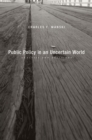 Public Policy in an Uncertain World : Analysis and Decisions - eBook