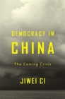 Democracy in China : The Coming Crisis - Book