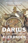 Darius in the Shadow of Alexander - eBook