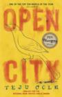 Open City - eBook