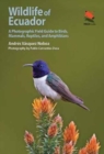 Wildlife of Ecuador : A Photographic Field Guide to Birds, Mammals, Reptiles, and Amphibians - Book
