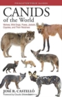 Canids of the World : Wolves, Wild Dogs, Foxes, Jackals, Coyotes, and Their Relatives - Book