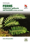 Britain's Ferns : A Field Guide to the Clubmosses, Quillworts, Horsetails and Ferns of Great Britain and Ireland - Book