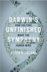 Darwin's Unfinished Symphony : How Culture Made the Human Mind - eBook
