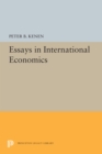 Essays in International Economics - eBook