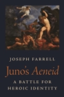 Juno's Aeneid : A Battle for Heroic Identity - eBook