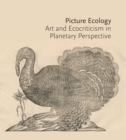 Picture Ecology : Art and Ecocriticism in Planetary Perspective - Book