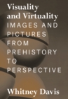 Visuality and Virtuality : Images and Pictures from Prehistory to Perspective - eBook