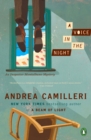Voice in the Night - eBook