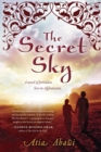 Secret Sky - eBook