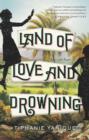 Land of Love and Drowning - eBook