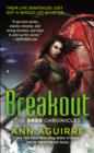 Breakout - eBook