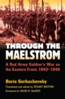 Through the Maelstrom : A Red Army Soldier's War on the Eastern Front, 1942-1945 - eBook