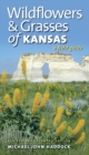 Wildflowers and Grasses of Kansas : A Field Guide, Revised and Expanded - eBook