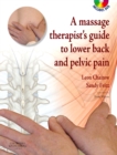 A Massage Therapist's Guide to Lower Back & Pelvic Pain E-Book - eBook