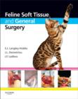 Feline Soft Tissue and General Surgery - eBook