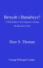 Brwydr i Baradwys? : Y Dylanwadau ar Dwf Ysgolion Cymraeg De-Ddwyrain Cymru - eBook